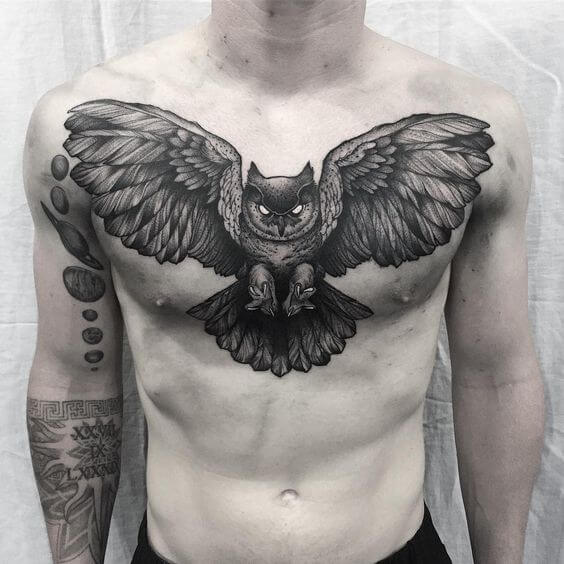 coruja tattoo owl torax 1