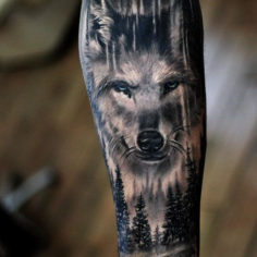 lobo floresta tattoo