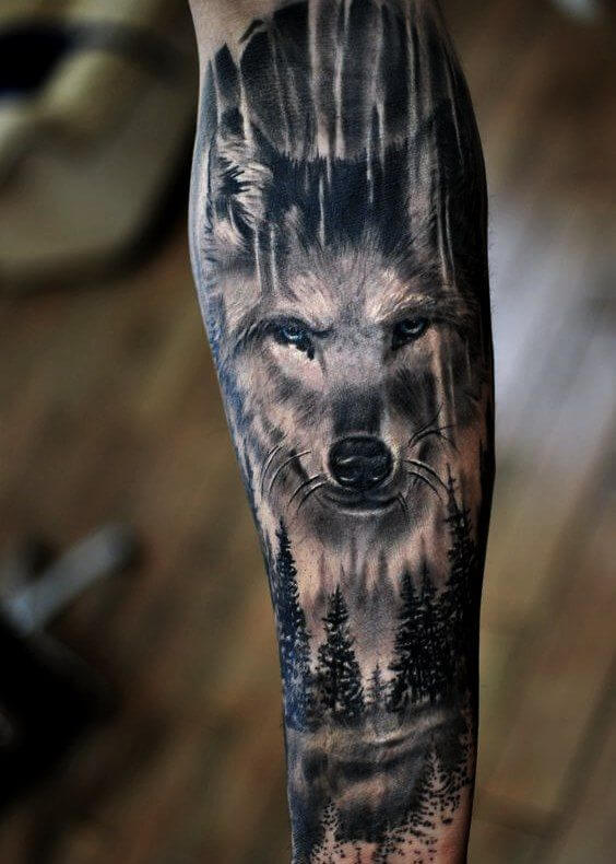 lobo floresta tattoo
