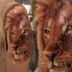 leao tattoo lion tatuagem