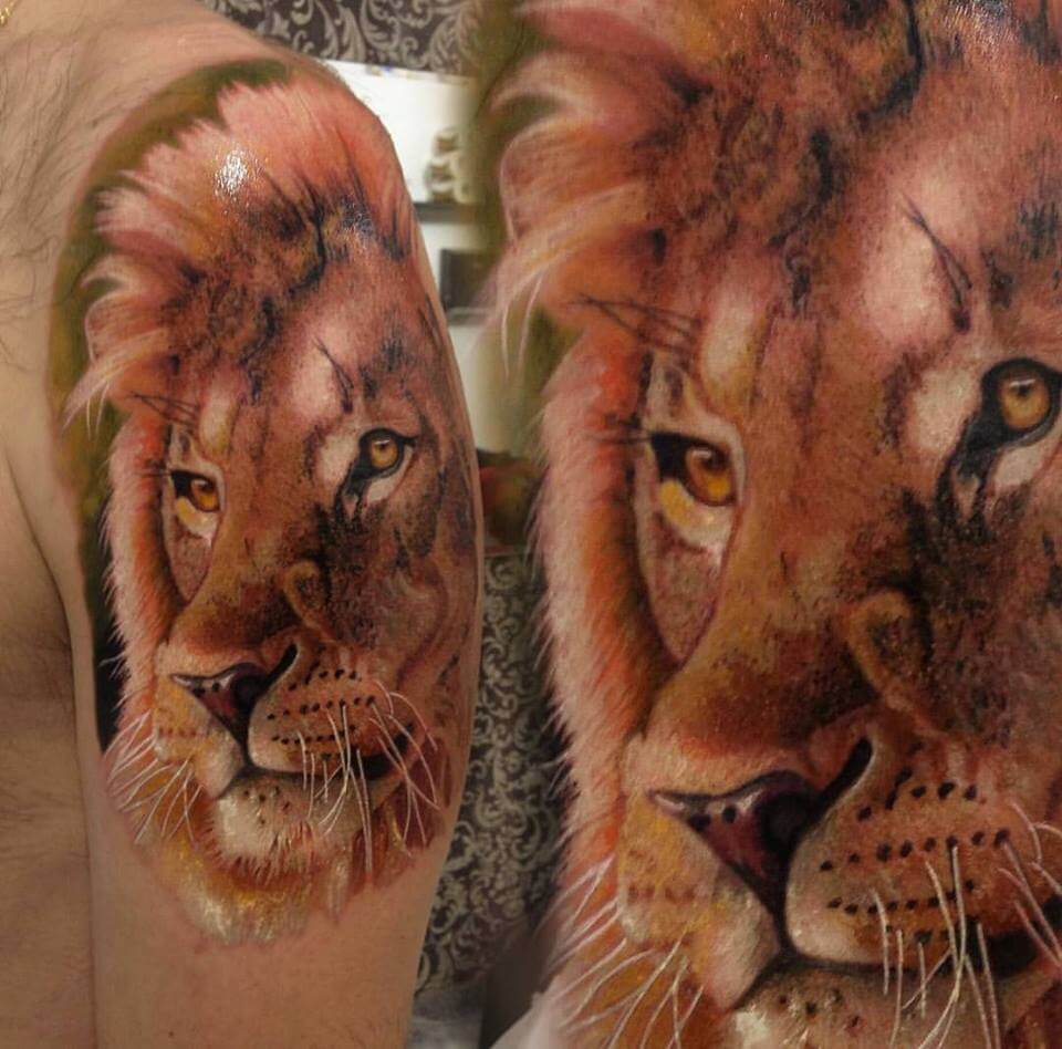 leao tattoo lion tatuagem