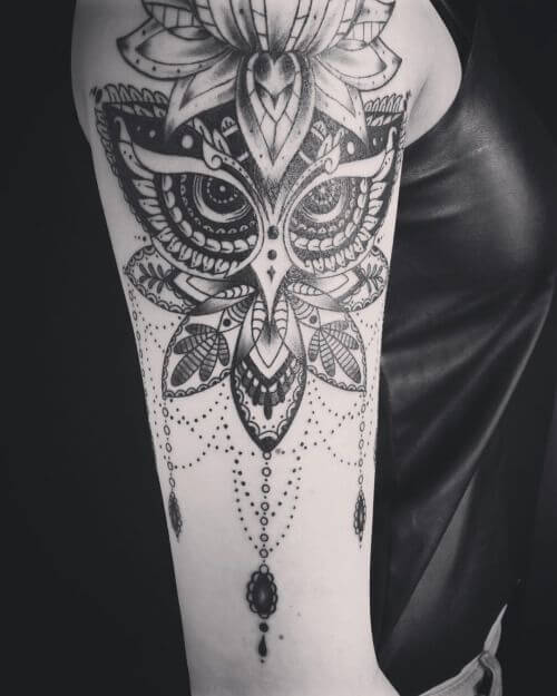 owl lotus