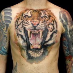 tigre peito tatuagem