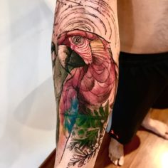arara pantanal tatuagem lincoln lima tattoo
