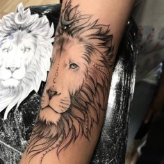 tatoo tatuagem leão