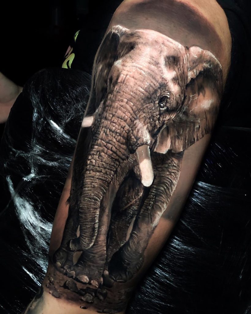tattoo tatuagem elefante