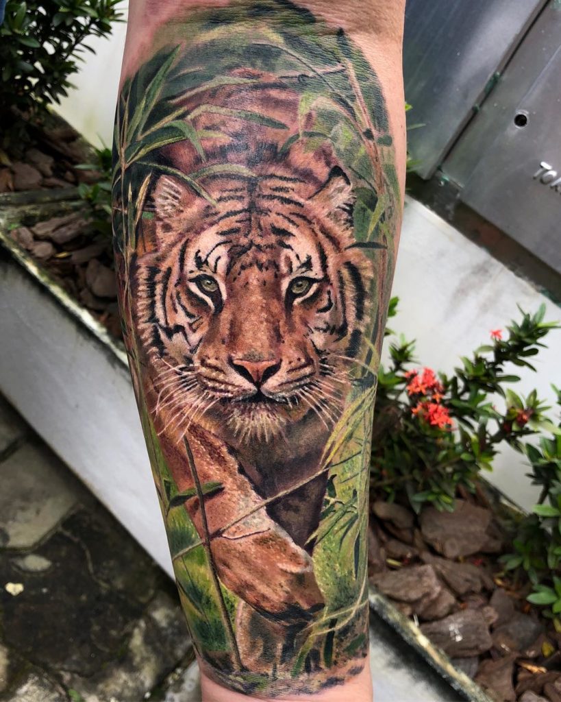 tattoo tatuagem tigre solitario