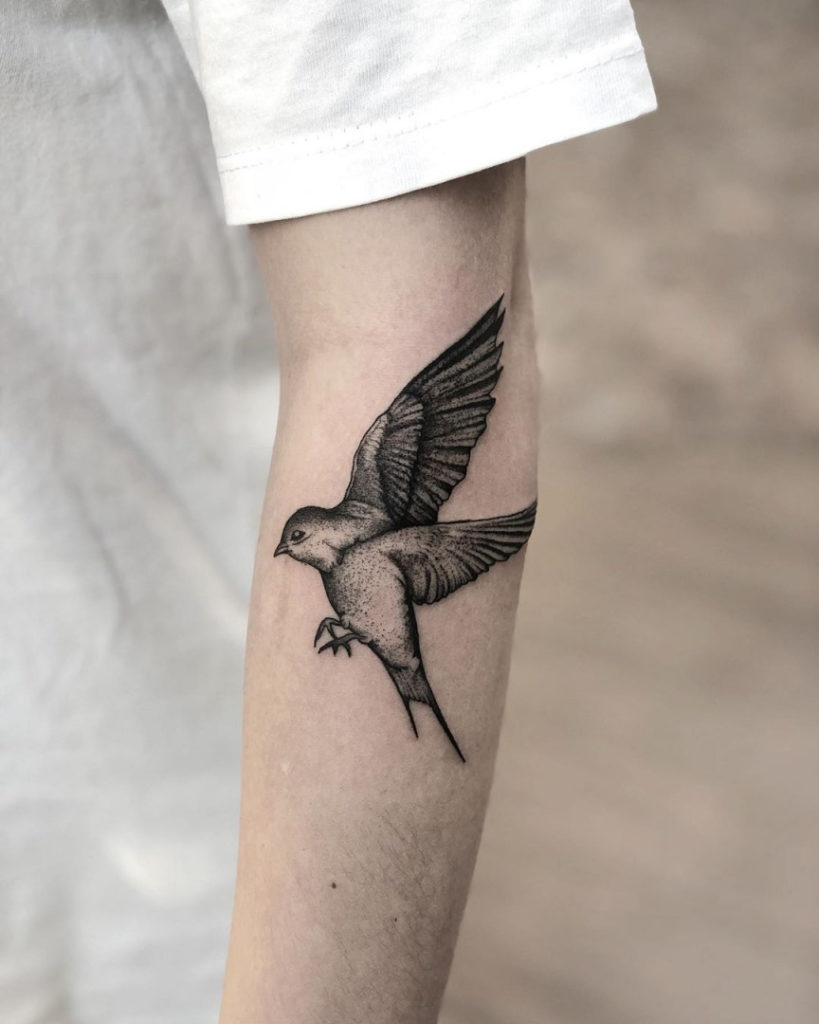 tattoo tatuagem passaro andorinha