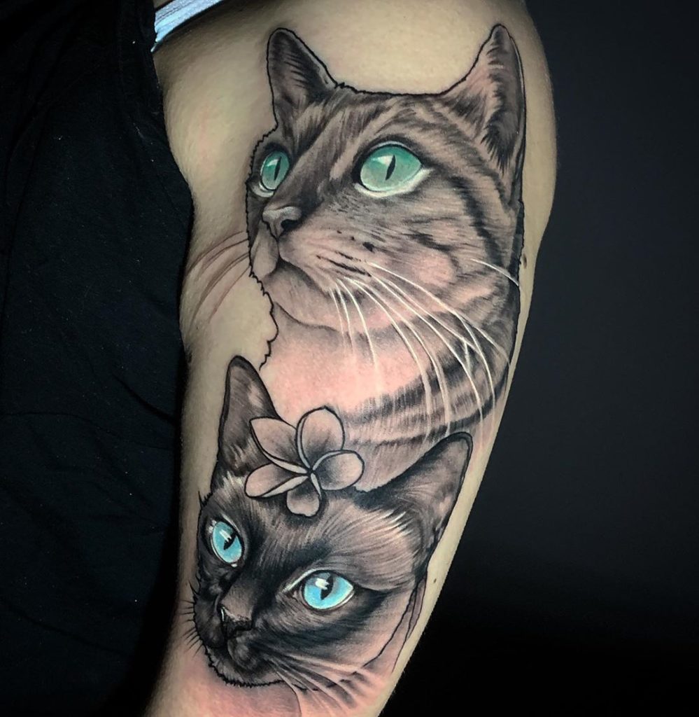 tattoo tatuagem gatos