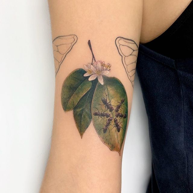 tattoo tatuagem laranjeira