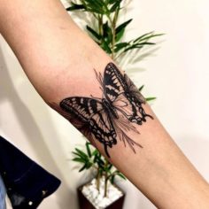 tattoo tatuagem borboleta