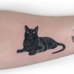 tattoo tatuagem gato preto
