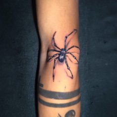 tatuagem aranha d