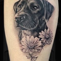 tatuagem cachorro