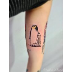 pinguim encantador