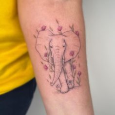 elefante