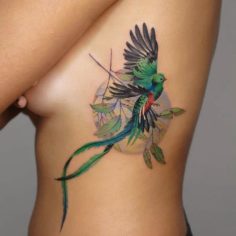 quetzal