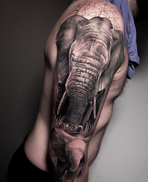 elefantes tattoo