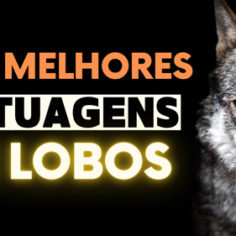 melhores tatuagens de lobos