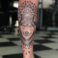 lobo do olho azul tattoo absoluteinkbali