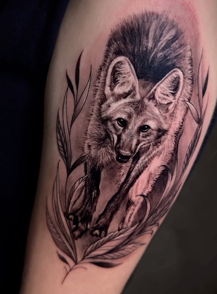 lobo guara tatuagem