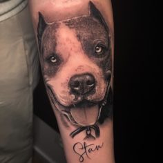 pitibull tattoo