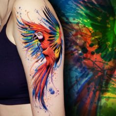 arara tattoo aquarela